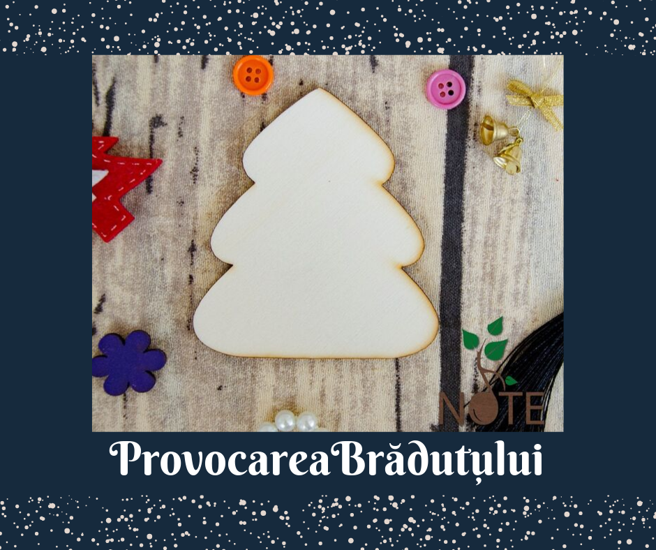 Provocarea Brăduțului (4)