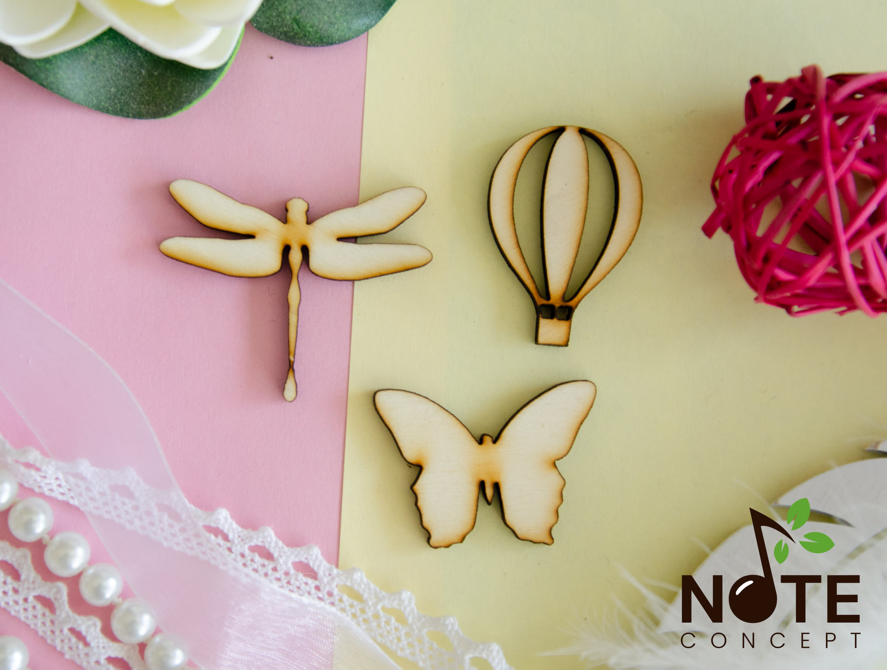 Blank set libelula fluture balon cu aer cald