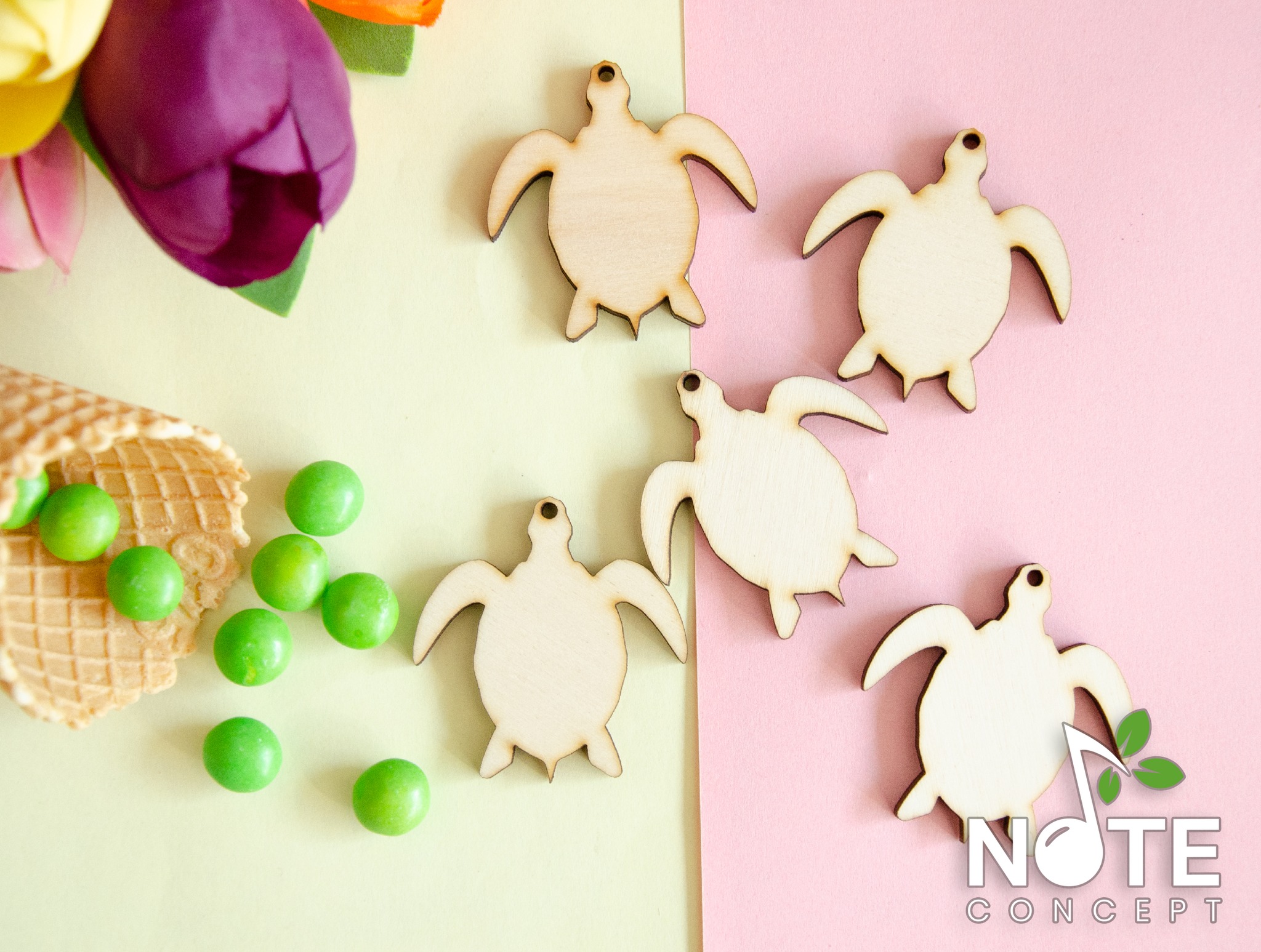 Set 5 blank broscute 5 cm