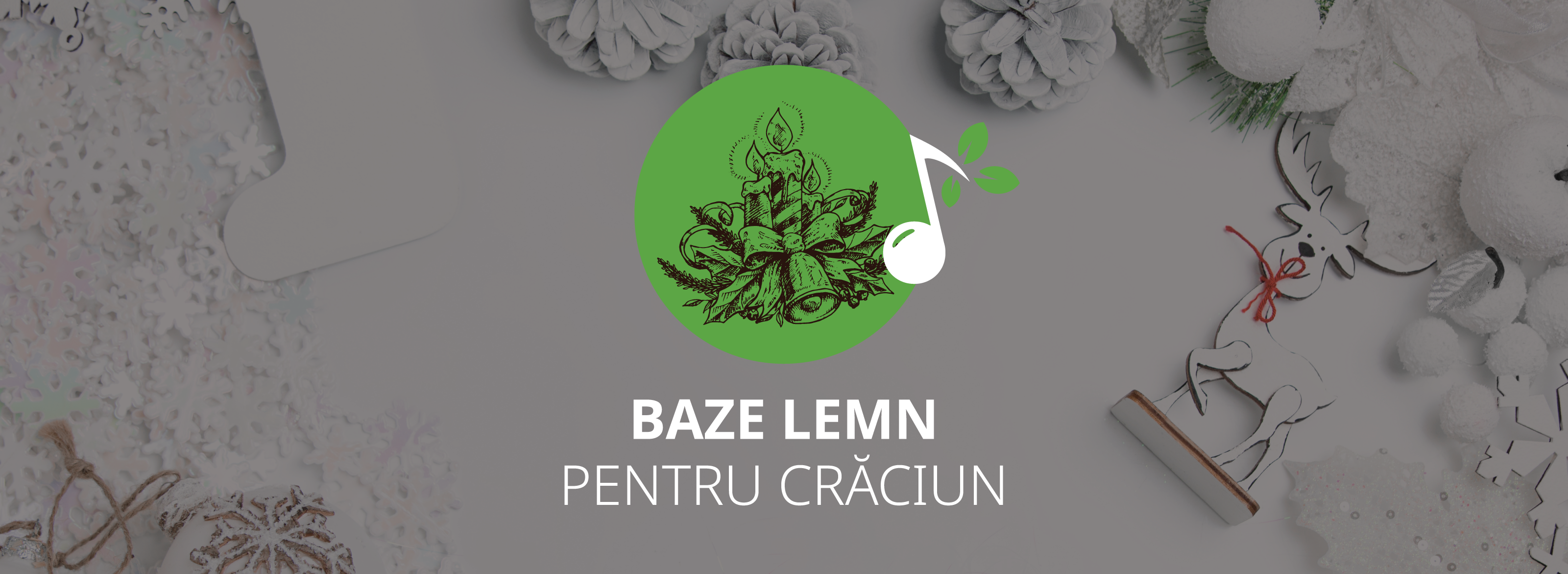 Lemn pt Craciun